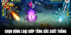 Chọn đúng loại giúp tăng xác suất thắng