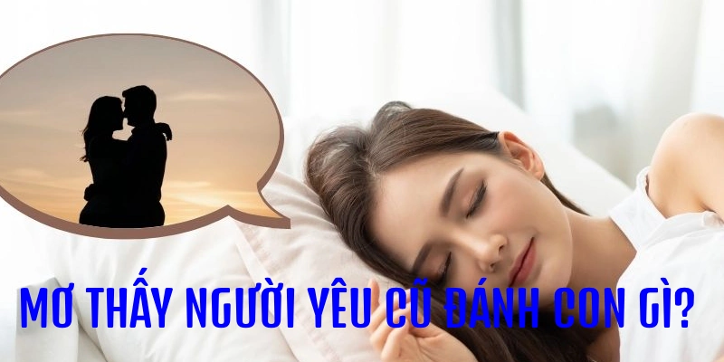 Mơ thấy người yêu cũ đánh con gì